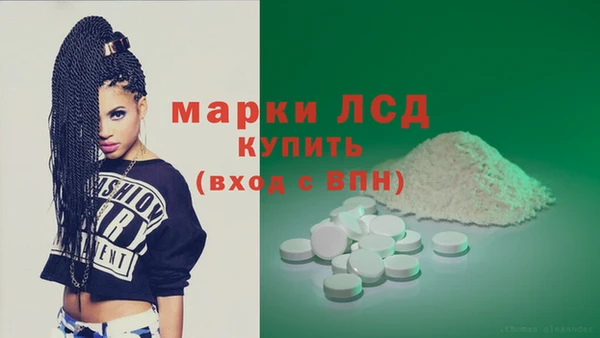прущие грибы Гусь-Хрустальный