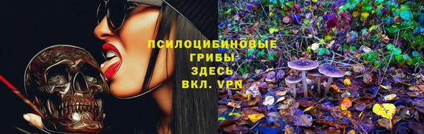 скорость Пестово