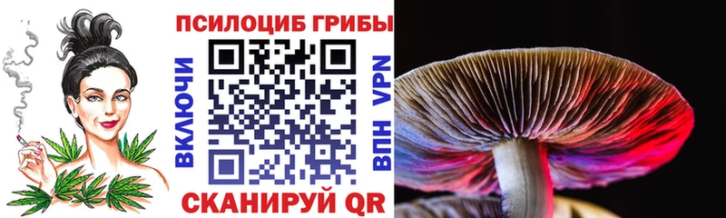 Галлюциногенные грибы GOLDEN TEACHER  Рошаль 